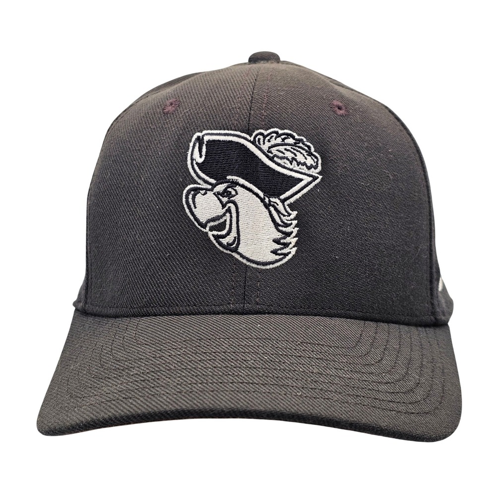 Nike Classic99 Dri-Fit Hat Black M/L Stretch Fit Swoosh Golf Cap Team Mascot